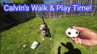 Calvin's Walk and Play Time w/ Friends!