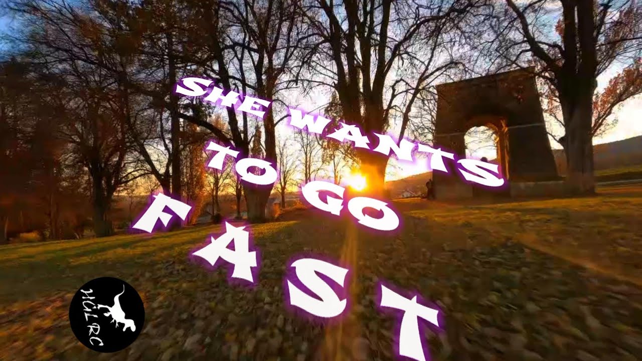 VEYRON 35- GO FAST is all she wants - 