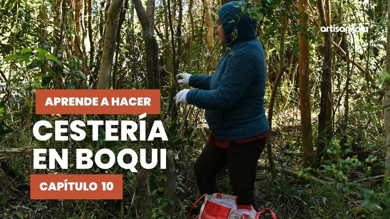 Curso Gratis de Cestería en Boqui con Teresa Vargas. Cap. 10 - YouTube