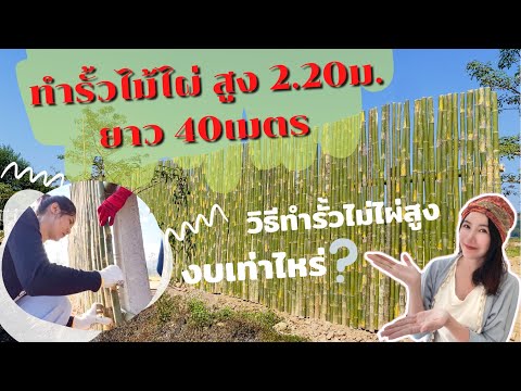ทำรั้วไม้ไผ่สูง สไตล์รีสอร์ท สูง 2.20ม. ยาว 40ม. ทำง่ายไหมไปดูกัน