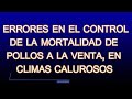 Errores en el control de la mortalidad de pollos a la venta, en climas calurosos