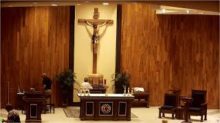 Thursday, July 3, 2025 - Livestream Rosary and Mass