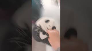 The Toy Wars Pt3 The End Of The Toys