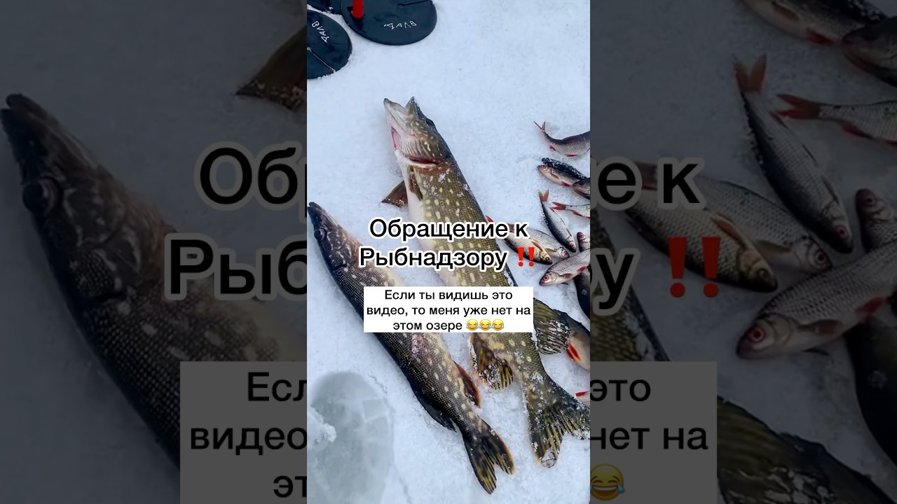 Ставь 👍🏻🔥  