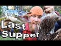 Pike, Grouse & Mushrooms Fried in Bear fat, Day 8 Of 8 Wilderness Living Challenge  S04E09  Survival