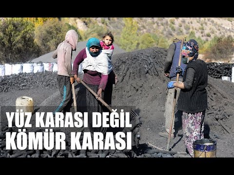 Video: Barbekü Kömür üzərində Necə Bişirilir