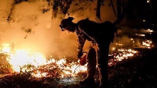 On oct. 19, light rain began to fall in northern california, giving
some respite the firefighters battling wildfires plaguing region.
fires ha...