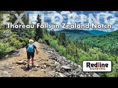 Trip Report - Exploring Thoreau Falls in Zealand Notch (Hiking in the WMNF)
