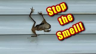 The Secret to Smooth Roll-Down Hurricane Shutters.  Save Big $$$ Maintaining them Yourself!