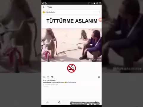 TÜTTÜRME ASLANIM ZEHİR O ZEHİR