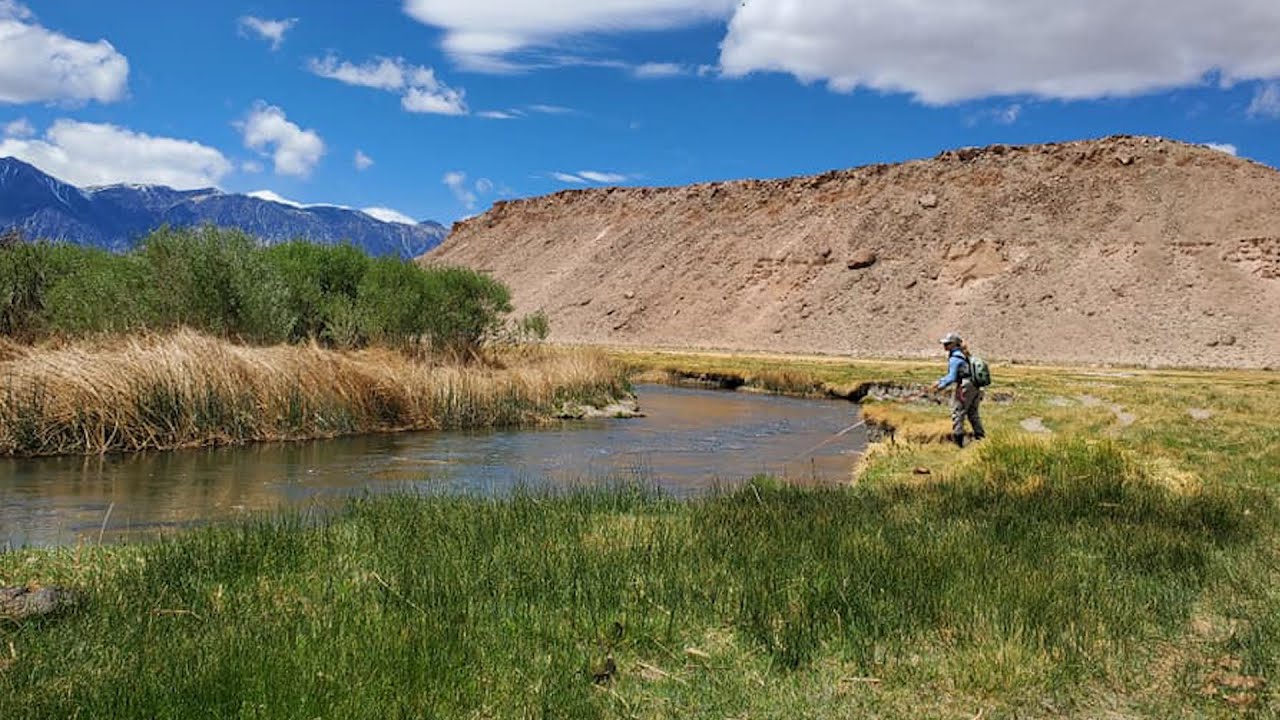 Fly Fishing the Lower Owens River YouTube