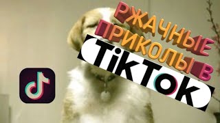 Ржачные Приколы Из Tik Tok