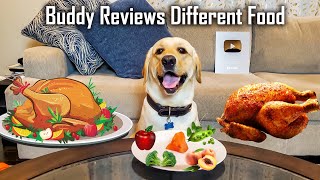 My Dog Reviews Food | Labrador Taste Test | Buddy's Lucky Day