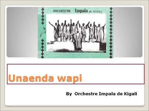 Video: Wanaangalia Wapi Wanaposema