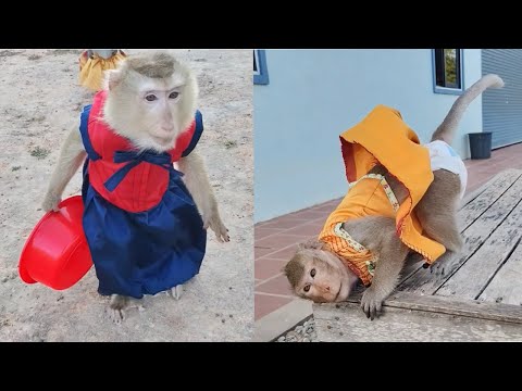 Be Kind Shally And Yaya