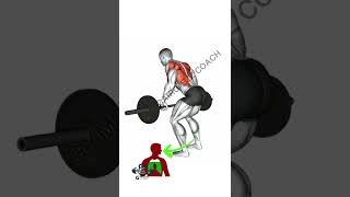 جيم كايرو | تمارين الظهر في الجيم |تمرين السحب بالبار Bent over barbell row GYM Cairo