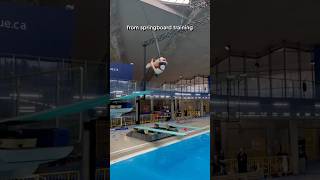 from training to 21m dive 🌀 #shorts Net Worth