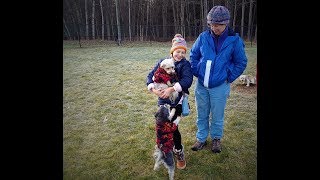 США. Аляска. Анкоридж. Парк . Площадка для выгула собак. США. Аляска. Анкоридж. Парк . Площадка для выгула собак.