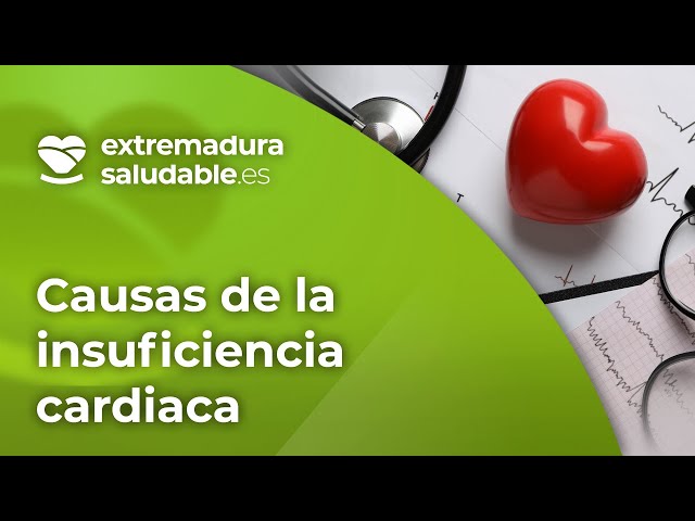 CAUSAS de la INSUFICIENCIA CARDIACA