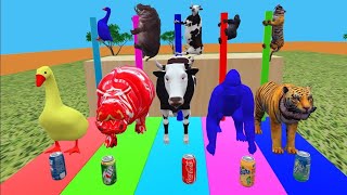 Choose Right Drink With Tiger Gorilla Cow Duck Hippocampus Wild Animals game