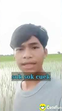 Story wa buat cewe cerewet || sok cantik kau b*b1😅 ||