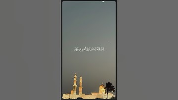 تلاوة خاشعة//بصوت القارئ عبدالرحمن مسعد |ارح سمعك😌🎧🤍🥀🌿