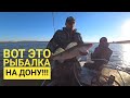 ТАКАЯ РЫБАЛКА БЫВАЕТ РАЗ В 10 ЛЕТ! Рыбалка на ДОНУ 2021! Судак на Дону на джиг!