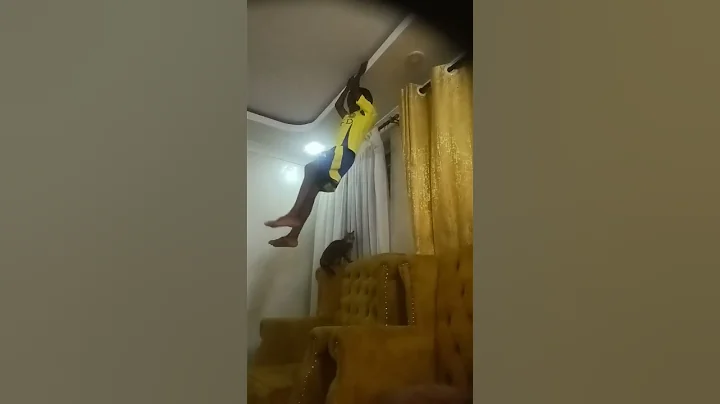 #dancer #vibes #prymrr