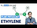 Ethylene | Plant Physiology | CSIR NET JUNE 2024 I IFAS