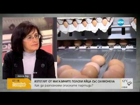 Как да разпознаем опасните яйца със салмонела - Здравей, България (27.10.2016г.)
