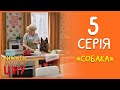 Вижити за будь-яку ціну 5 серія - Собака  | Дизель Студио