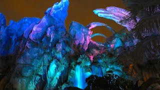 Glowing bioluminescence in Pandora - The World of Avatar at night, Walt Disney World