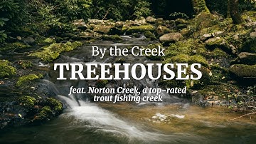 Treehouse Grove | "Treehouse Master" | Gatlinburg