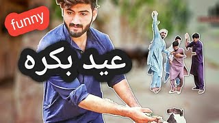 Mal mandi Eid video bakra || zindabad vines ||