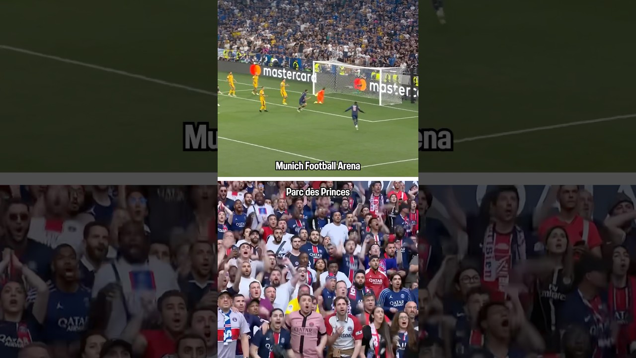 Pure happiness 🥰❤️💙