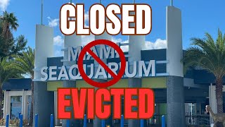 Miami Seaquarium Closed - Evicted after Orca Lolita’s Death #miamiseaquarium # miami