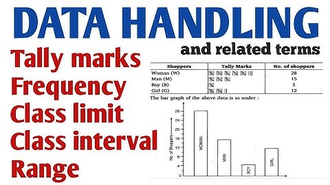 Data Handling ll class 8