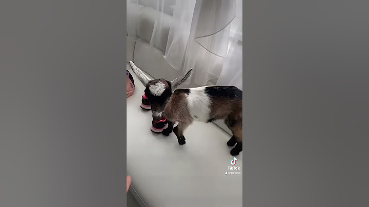 Dziecko się mnie nie słucha…