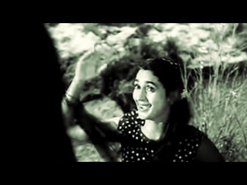 Ye tanhai hay re hay jane phir aaye  Tere Ghar Ke Samne NutanDev Anand Lata Hasrat SD Burman a tri