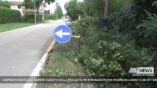 «SOPRAVVISSUTA ALL’ALBERO CADUTO SULLA MIA AUTO: HO RINGRAZIATO MIA MADRE DA LASSU’» | 28/07/2021