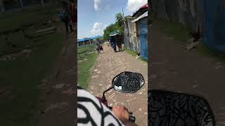 IMG 5220