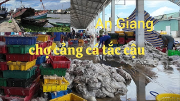 Chợ - Cảng Cá Tắc Cậu An Giang - Hải Sản Chất Đống