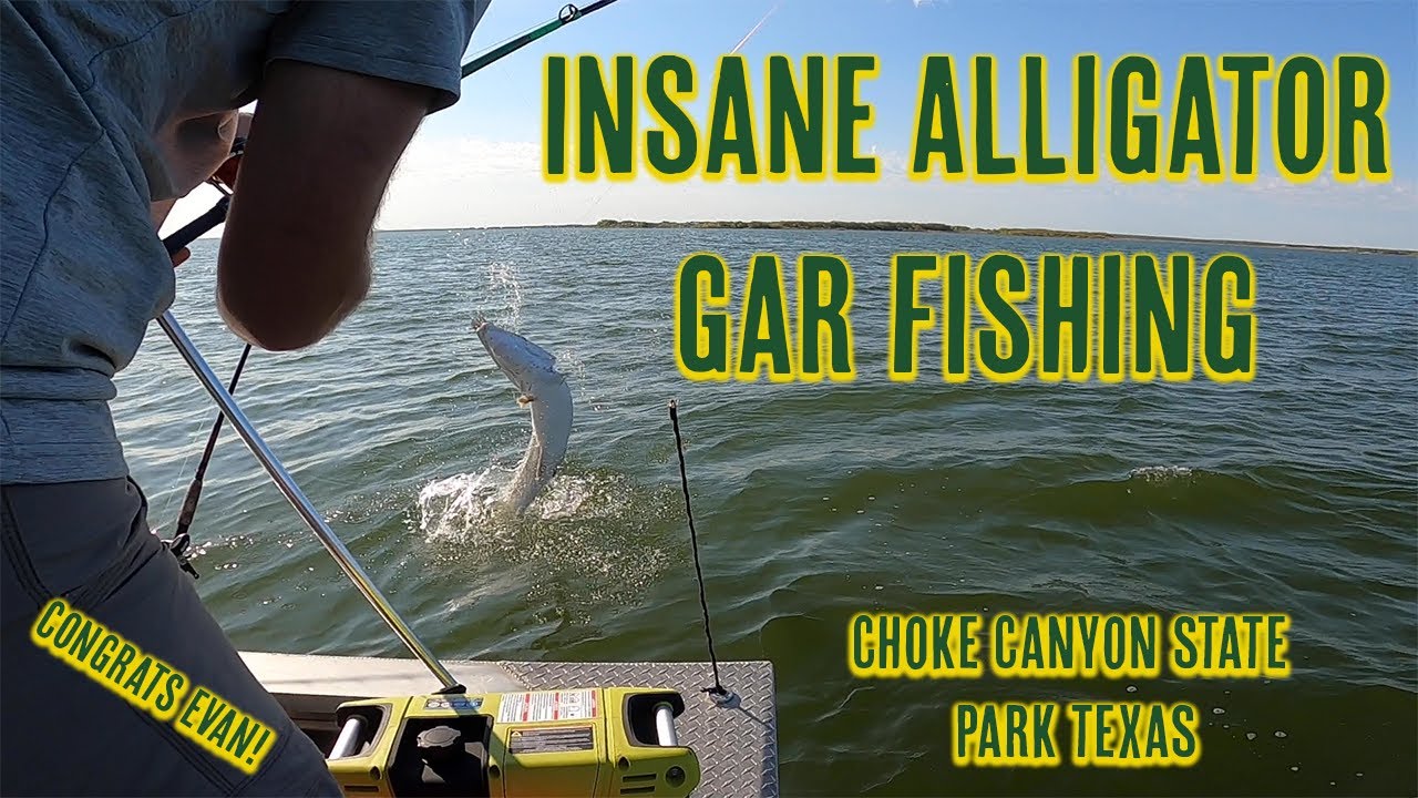 Insane Alligator Gar Fishing at Choke Canyon State Park Texas Gar