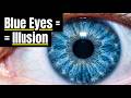 The Science Behind Blue Eyes
