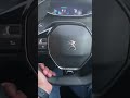 🤔 Problem with the Peugeot 208 steering wheel