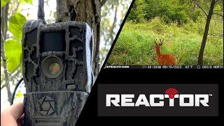 StealthCam Reactor Review  Best $100 Cellular Trail Camera?