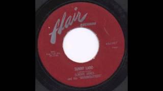 Watch Elmore James Sunny Land video
