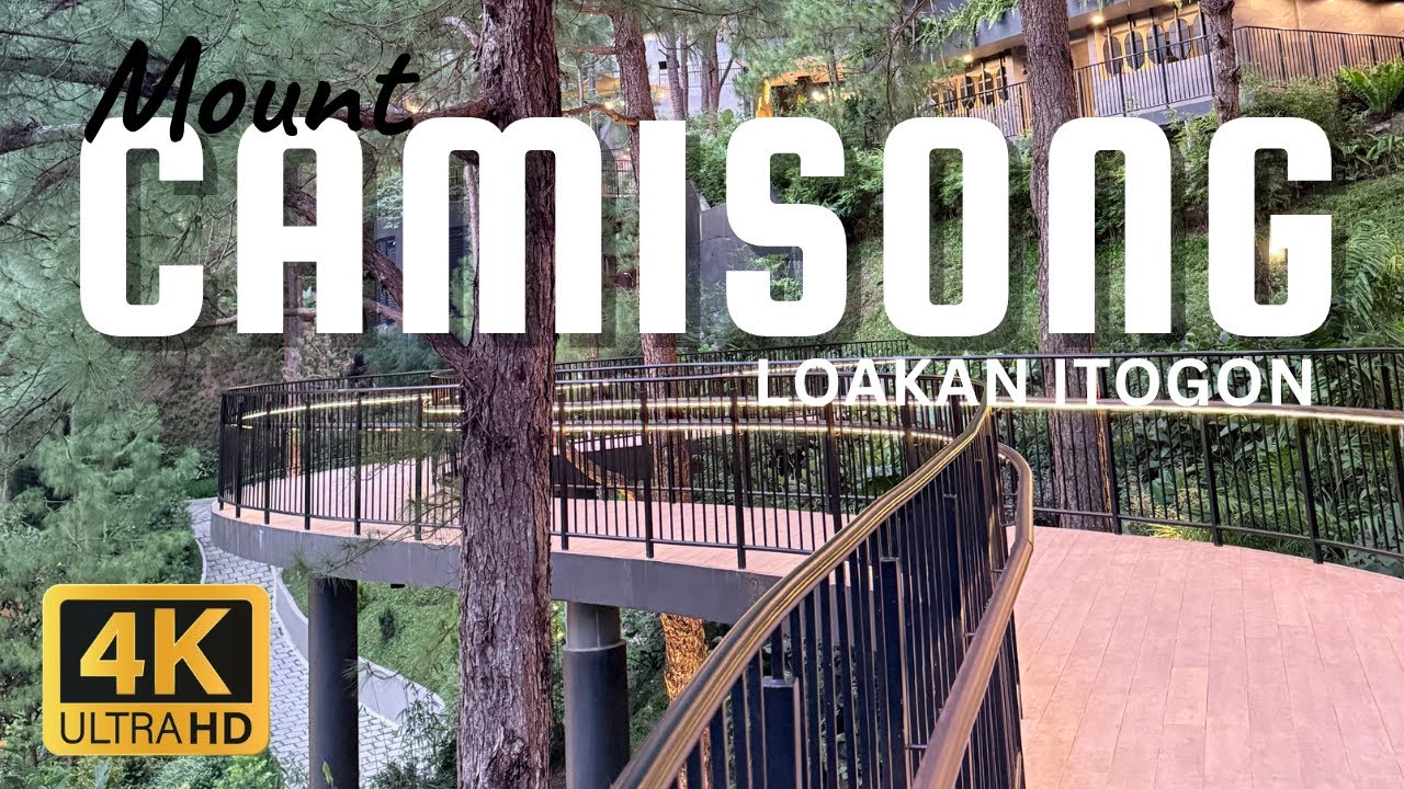 Is Mt. Camisong Worth It? Exploring Baguio’s Newest Forest Park!