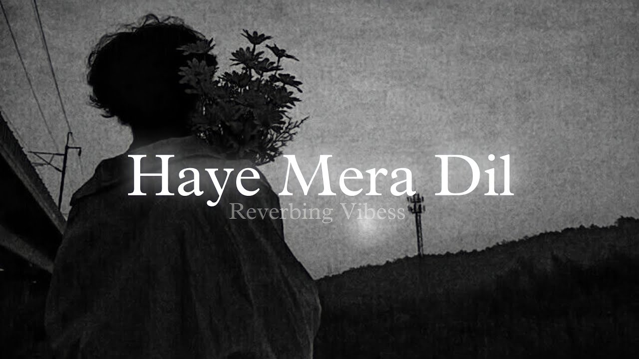 Haye Mera Dil Slowed  Reverb  Alfaaz Honey Singh