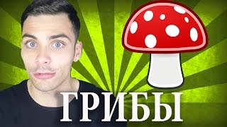 10 ИНТЕРЕСНЫХ ФАКТОВ О ГРИБАХ...